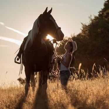 kind mit pferd in abendsonne